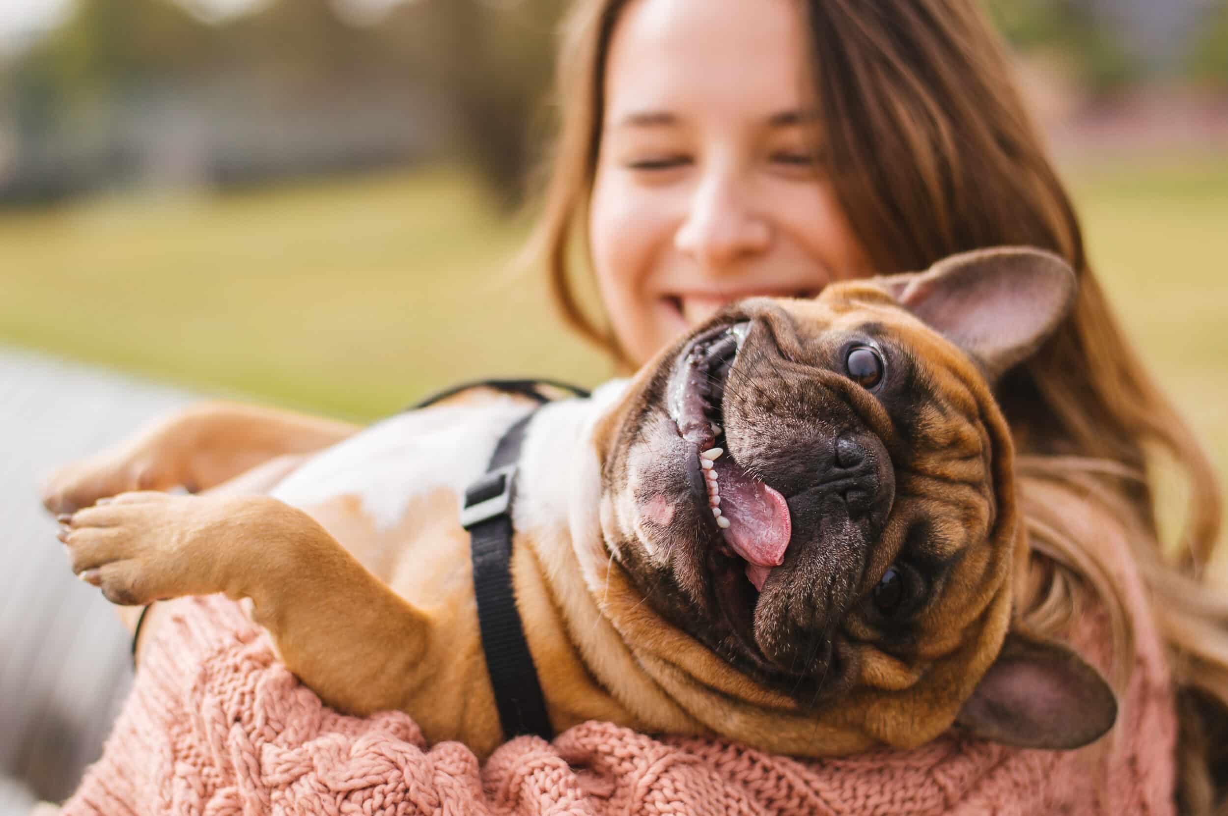 Close up of a woman holding a small dog and smiling happily, showing the benefit of therapy dogs
